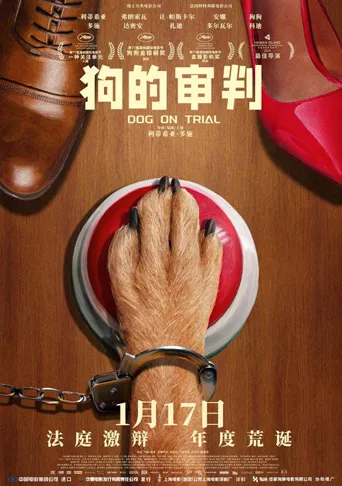 狗的审判海报