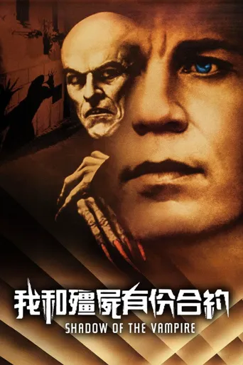 吸血鬼魅影海报