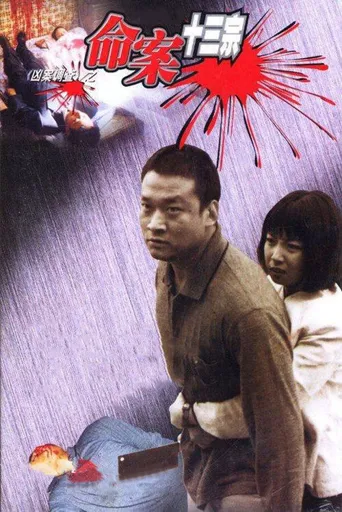 命案十三宗海报