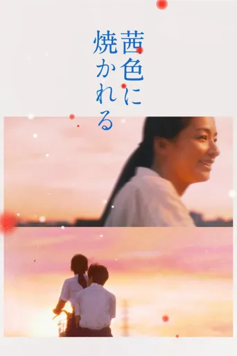 茜色如烧海报