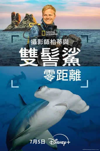 摄影师贝尔蒂与双髻鲨零距离海报