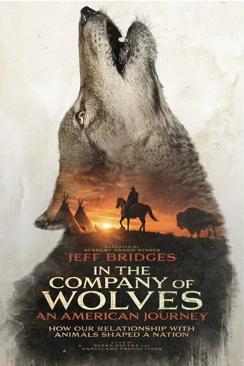 In the Company of Wolves: An American Journey海报