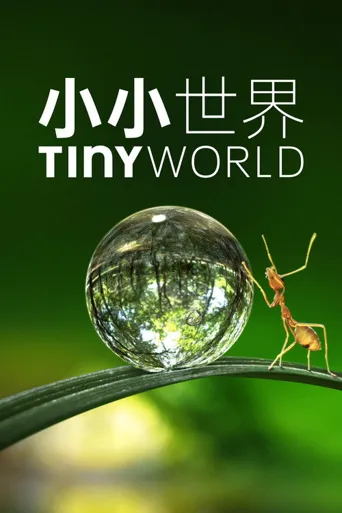 小小世界 第 1 季海报