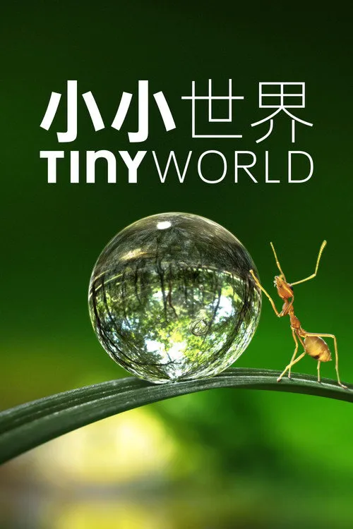 小小世界 第 1 季海报