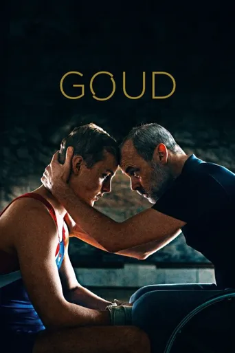Goud海报