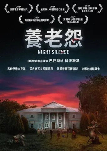 寂静之夜海报