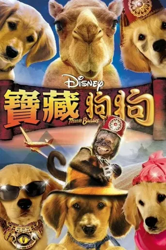 护宝巴迪海报