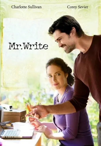 Mr. Write海报