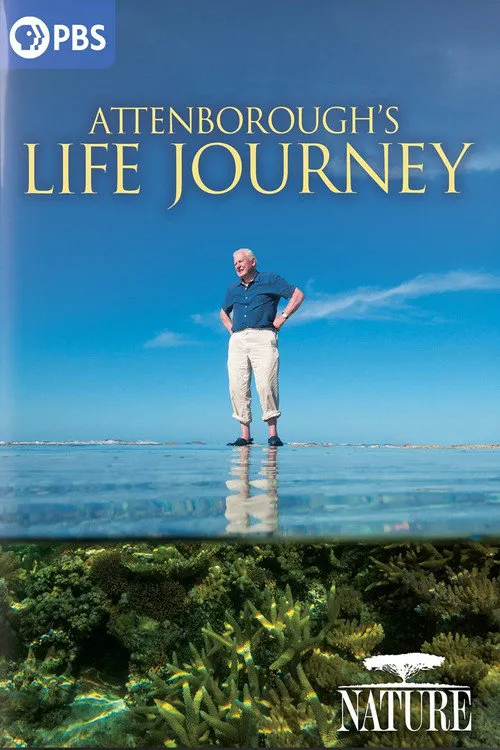 Attenborough's Life Journey海报
