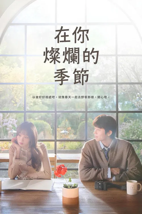 在你灿烂的季节海报