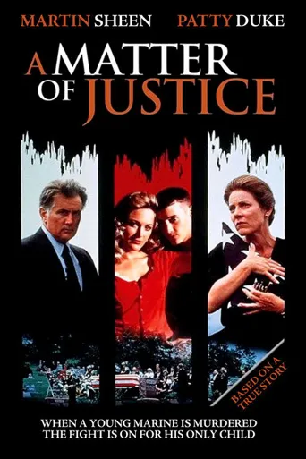 A Matter of Justice海报