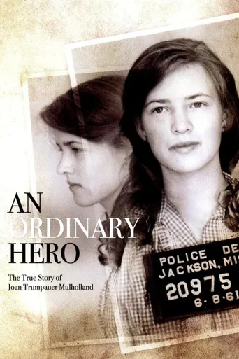 An Ordinary Hero海报