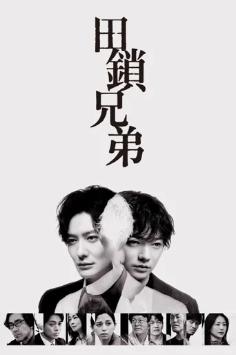 田锁兄弟海报