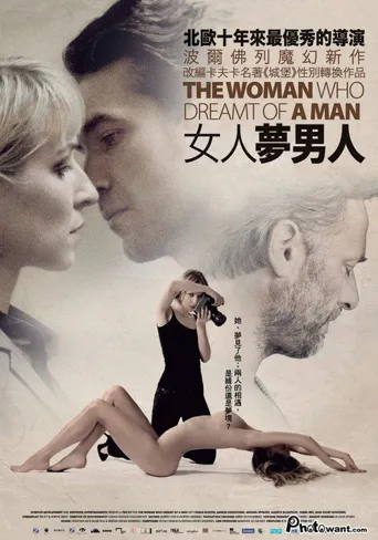 思春少妇海报