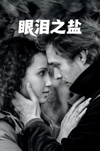 眼泪之盐海报