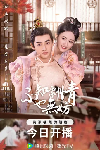 不知剧情也无妨海报