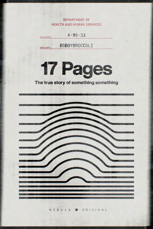 17 Pages海报
