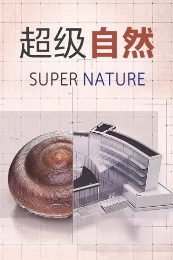 超级仿生海报