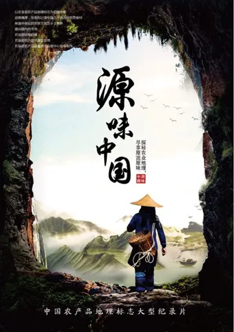 源味中国海报