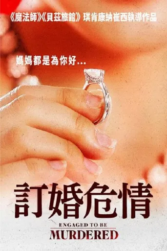 订婚危情海报