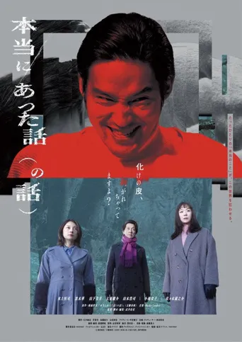 真实发生过的故事（的故事）海报