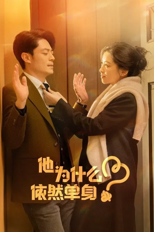 他为什么依然单身海报
