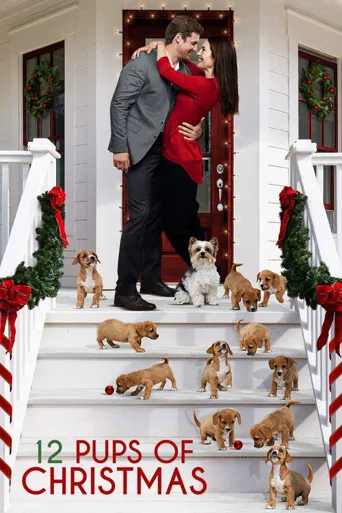 12 Pups of Christmas海报