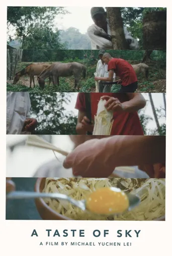 天空的味道海报