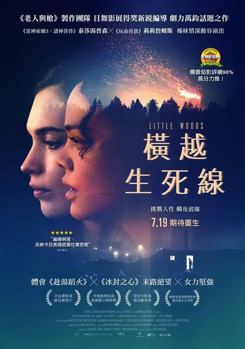 小森林海报
