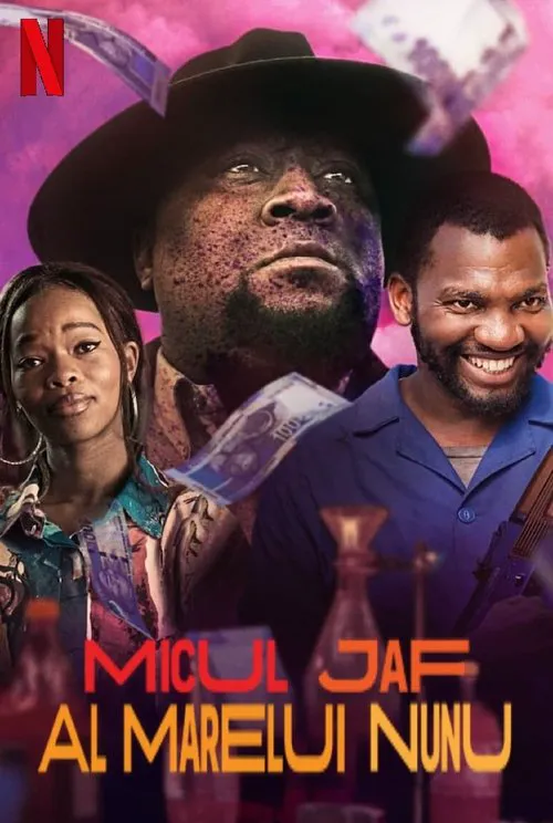 努努老大的小偷小摸海报