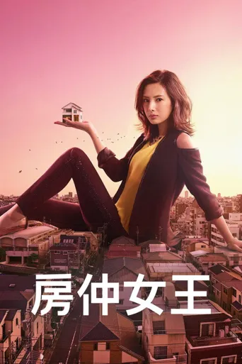 卖房子的女人海报