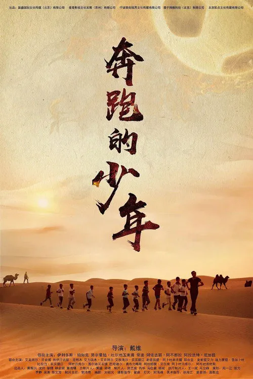 奔跑的少年海报