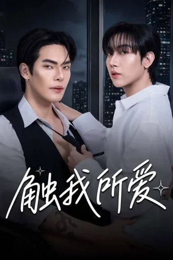 触我所爱 第 1 季海报