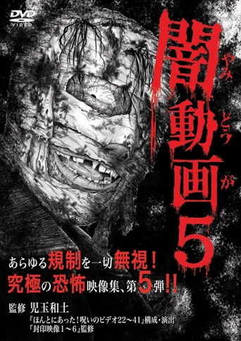 暗动画5海报