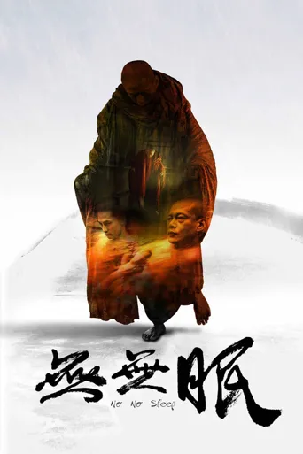 无无眠海报