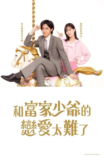 恋上少爷太难了海报
