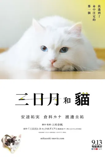 三日月与猫海报