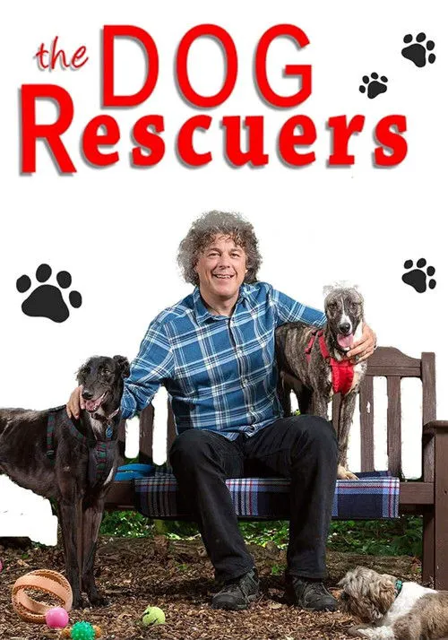 The Dog Rescuers with Alan Davies 第 10 季海报