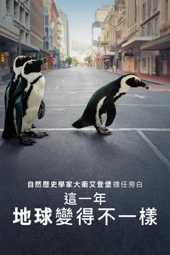 地球改变之年海报