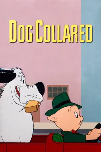 Dog Collared海报