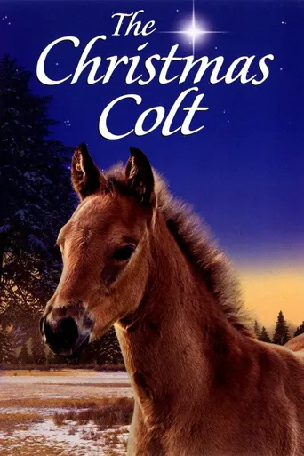 The Christmas Colt海报