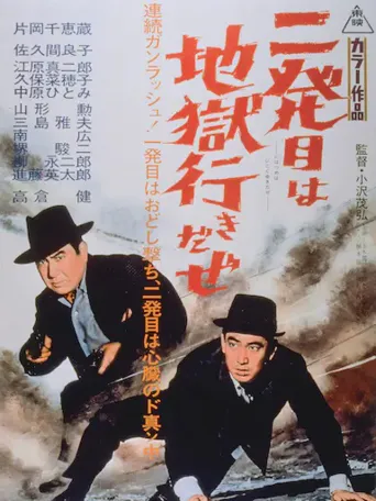 孔雀秘帖海报