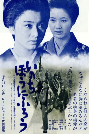 在我冒险的日子海报