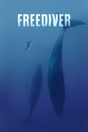 极限潜水员海报