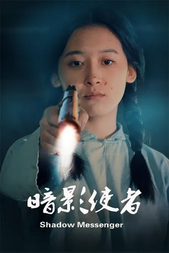 暗影使者海报