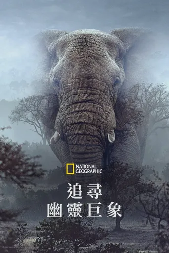 追寻幽灵大象海报