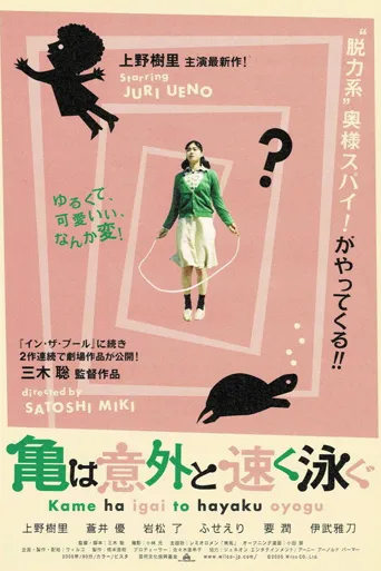 乌龟意外之速游海报