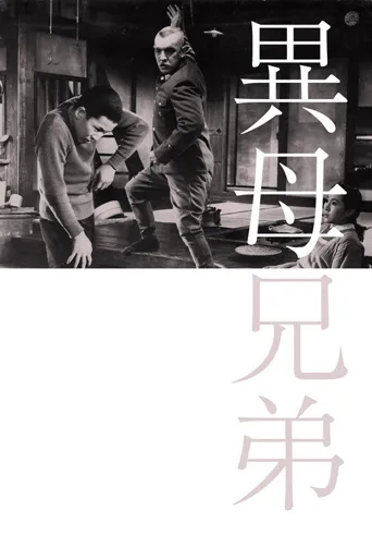 异母兄弟海报