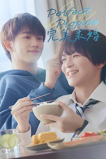完美求婚海报