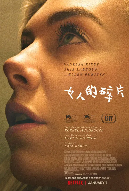 女人的碎片海报